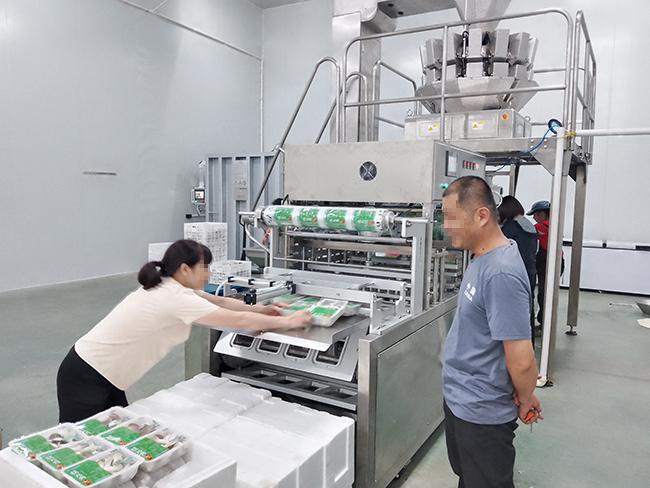 latest company news about The installation of the Multi-head Scale Conveyor MAP Modified Atmosphere Packaging Machine for Fresh Mushroom  3