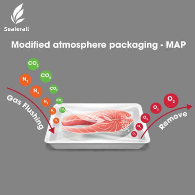 Buy Plastic Box Compact Tray Packing Machine Food Container Sealing Machine online manufacture