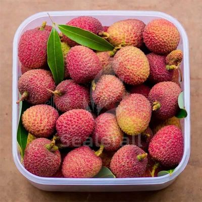 Buy Stainless Steel Modified Atmosphere Packaging Machine For Fresh Litchi online manufacture