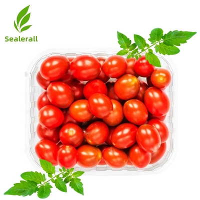 Buy Sealerall MAP Tray Sealer for Small Tomatoes 10-12 Pack Trays online manufacture