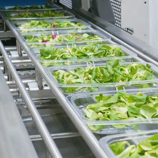 Fresh Vegetables Map Packaging Machine Map Bag Sealer 0.5Mpa-0.6Mpa High Efficiency 2