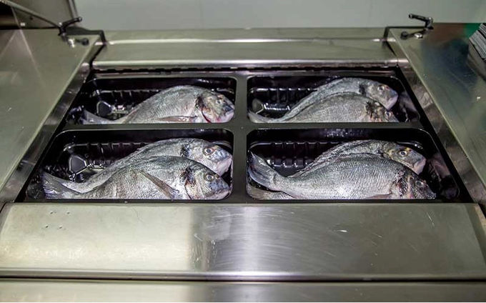 Live Fish User Friendly MAP Plastic Box Sealing Machine Tray Sealers Food Packaging 2